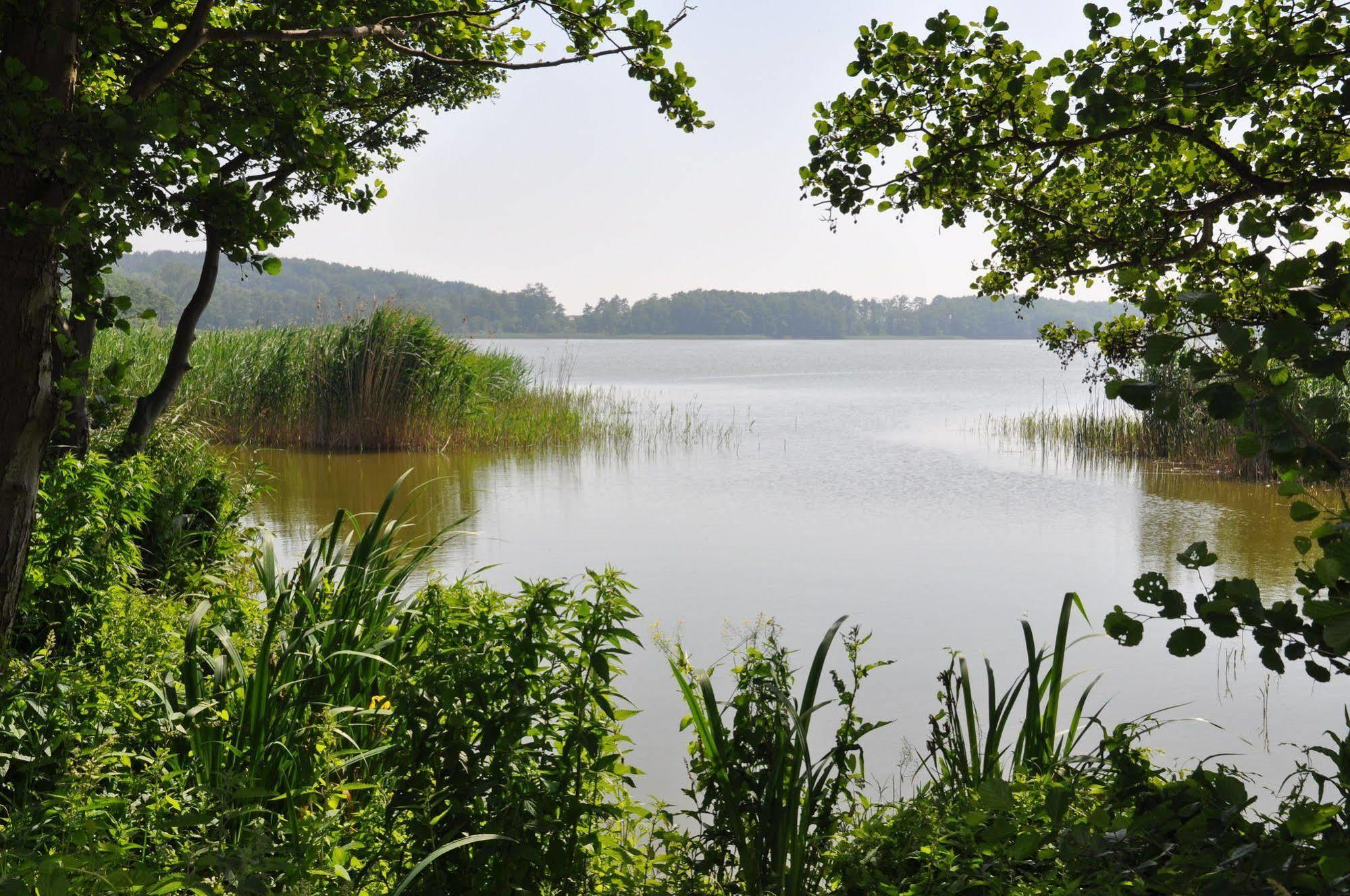Hotel Am Gothensee 제바트헤링스도르프 외부 사진