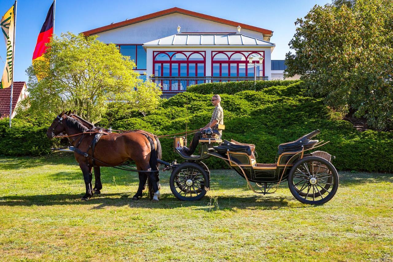 Hotel Am Gothensee 제바트헤링스도르프 외부 사진